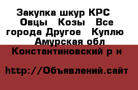 Закупка шкур КРС , Овцы , Козы - Все города Другое » Куплю   . Амурская обл.,Константиновский р-н